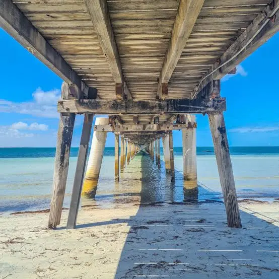 Looking out to clear blue water from beneath the timber jetty at Port Neill